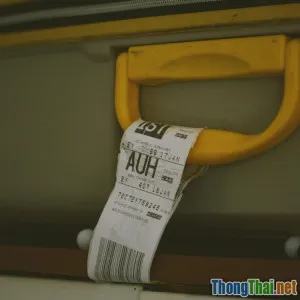 Cách lựa chọn tour du lịch phù hợp với nhu cầu