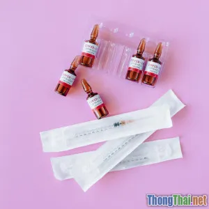 Cách phòng ngừa bệnh truyền nhiễm cho mèo con hiệu quả tại nhà