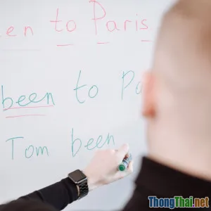 So sánh giữa viết luận tiếng Anh và tiếng Việt