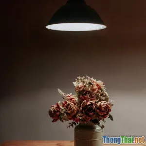 Cách tổ chức không gian sống cho người sống một mình