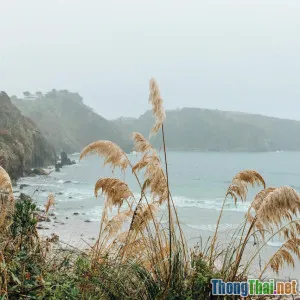 Chặng đường chinh phục Fansipan mùa đông có dễ như lời đồn không