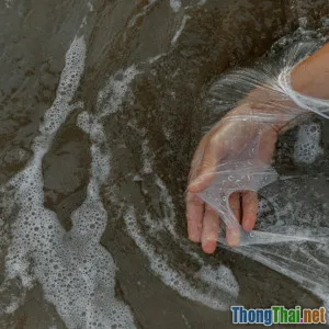 Chó mèo có thể giúp giảm ô nhiễm nhựa không