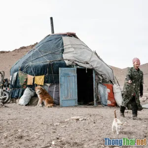 Chó mèo già thường mắc bệnh gì Cách chăm sóc giúp kéo dài tuổi thọ