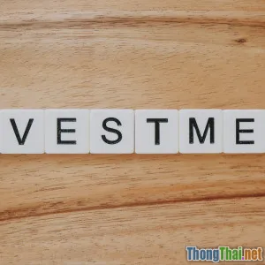 Có nên đầu tư toàn bộ vốn vào bất động sản