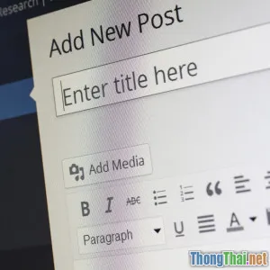 Có nên đầu tư vào theme WordPress trả phí hay không