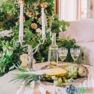 Có nên trồng dứa trong phòng ngủ không