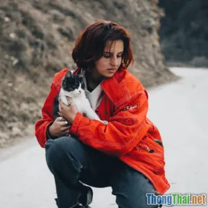 Có nên tự may áo cho mèo tại nhà không