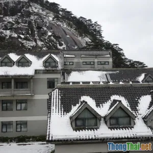 Có Thực Sự Cần Thiết Phải Ở Resort Khi Du Lịch?