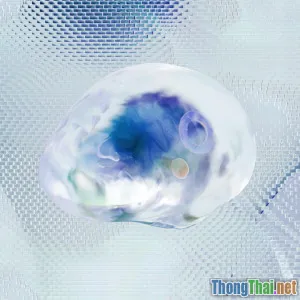 Bất ngờ với VR concert Thưởng thức âm nhạc sống động tại nhà