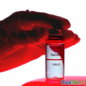 Vì sao vaccine định kỳ cực kỳ quan trọng với sức khỏe thú cưng