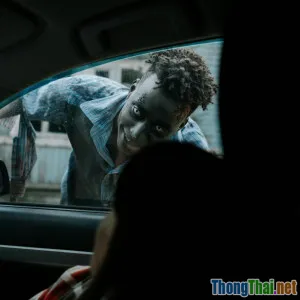 Đánh giá top 7 bộ phim thây ma hay nhất mọi thời đại bạn không nên bỏ lỡ