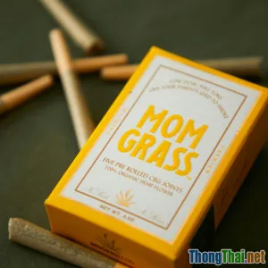 Đánh giá top thảo dược hỗ trợ xương khớp 2024