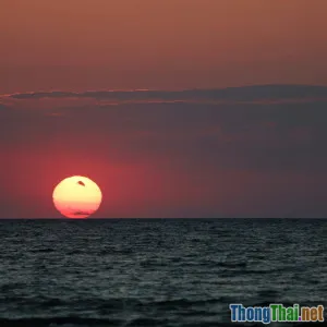 DevOps với Cloud Dễ triển khai nhưng bạn đã thật sự kiểm soát CI CD