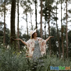 Địa Điểm Du Lịch Sinh Thái Hấp Dẫn Tại Tây Nguyên