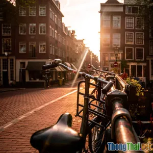 Du lịch bền vững: Xu hướng mới trong ngành du lịch