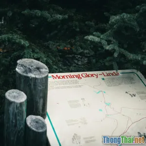 Du lịch sinh thái: Khám phá thiên nhiên mà không gây hại