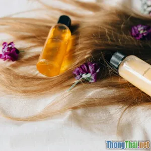 Dưỡng tóc với dầu gội tự nhiên Cách phục hồi tóc sau nhuộm hiệu quả