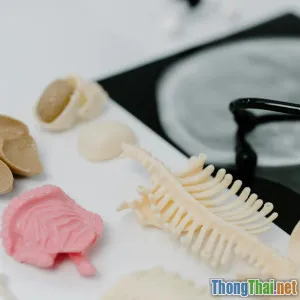 Giải mã các chỉ số xét nghiệm: Hướng dẫn đọc hiểu từ A đến Z