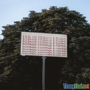 Giải mã cấu trúc bị động trong tiếng Anh qua 5 tình huống đời thực