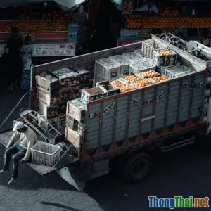 Giải mã công nghệ theo dõi tuyến đường vận tải hàng hóa tươi sống