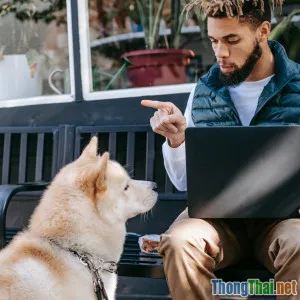 Giải mã ngôn ngữ cơ thể của chó nhà bạn