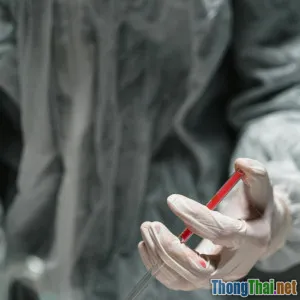 Giải pháp phòng tránh bệnh truyền nhiễm cho mèo nuôi trong nhà