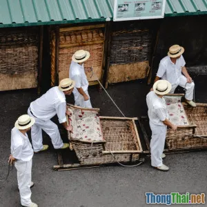 Gợi ý các hoạt động thú vị trong chuyến đi