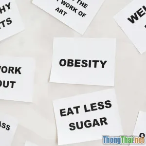 Hành trình hồi phục của mèo bị béo phì với chế độ dinh dưỡng mới