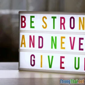 Hành trình vượt khó thành công của CEO trẻ Việt