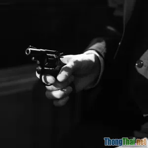 Hướng dẫn chọn phim trinh thám cho người mới bắt đầu xem