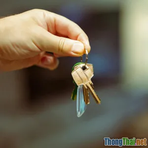 Hướng dẫn đầu tư bất động sản cho người mới