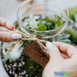 Hướng dẫn làm giá thể tự chế giúp cây trong nhà xanh tươi quanh năm