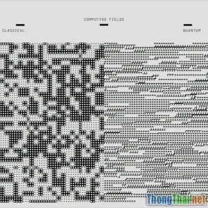 Khám Phá Bí Ẩn Đằng Sau Độ Phức Tạp của Thuật Toán Tìm Kiếm Nhị Phân