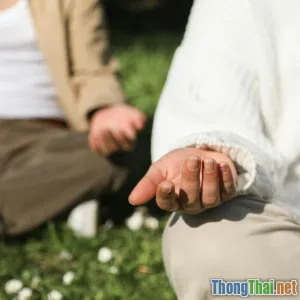 Xu hướng chữa lành bằng thiên nhiên: Lợi ích và thách thức