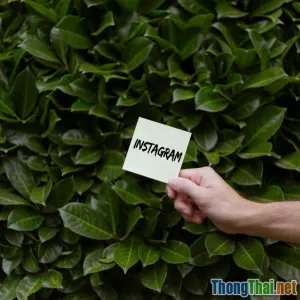 Hướng dẫn sử dụng Instagram Stories hiệu quả