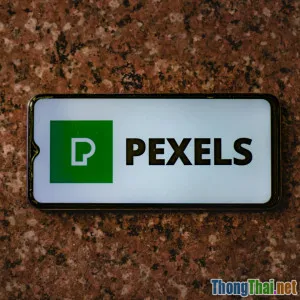 Cách quảng bá dịch vụ freelance của bạn