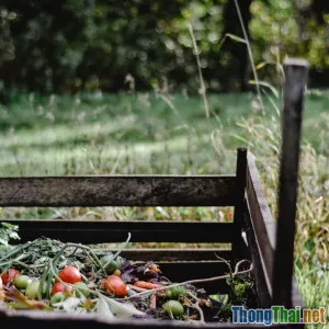 Kỹ thuật ủ đất trồng rau sạch hiệu quả tại nhà