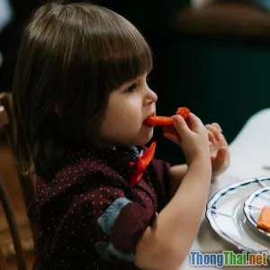 Làm gì khi trẻ biếng ăn kéo dài chia sẻ từ chuyên gia