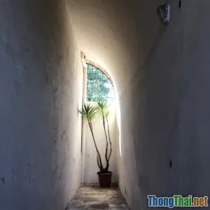 Làm sao chọn hướng nhà phù hợp tuổi theo phong thủy nhà cửa hiện đại