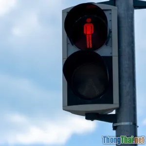 Làm thế nào AI đang thay đổi cách quản lý đèn tín hiệu giao thông tại đô thị