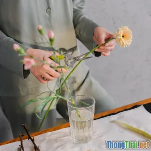 Làm thế nào để bắt đầu với công việc tự do?