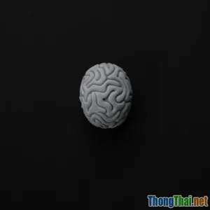 Làm thế nào phim khám phá mở rộng vốn sống và suy nghĩ của bạn