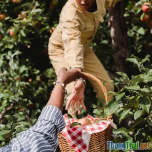 Làm vườn với cây ăn trái cho gia đình