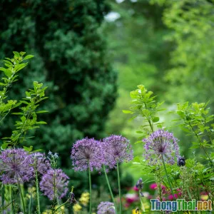 Lưu ý gì khi tự trang trí đèn vườn ngoài trời vào mùa mưa