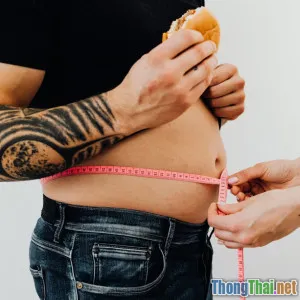 Mèo béo phì nguy hiểm như thế nào Thực tế và cách lấy lại cân nặng lý tưởng