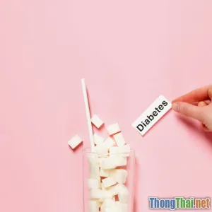 Mèo bị béo phì Nguy cơ và giải pháp tối ưu