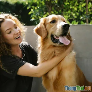 Những giống chó cảnh đẹp nhất cho gia đình bạn