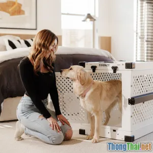 Những hiểu lầm phổ biến về tình bạn giữa người và động vật