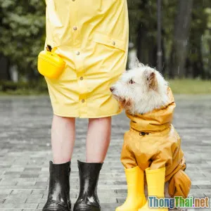 Những mẩu chuyện cảm động về tình bạn giữa con người và động vật