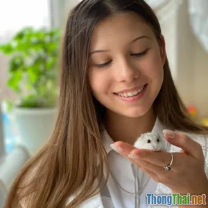 Nuôi chuột cảnh phòng nhỏ vẫn siêu dễ thương